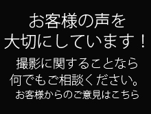 ペット撮影
